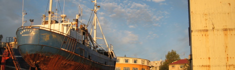 Dröfn vorið 2008